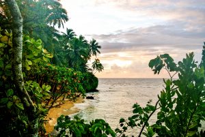 Sunset over the beach at the Namale resort in Fiji