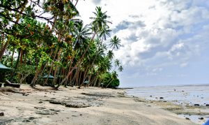 The beach at the Namale resort in Fiji