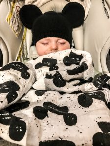 Piloting Life - Disney with an Infant and Tot