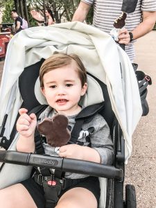 Piloting Life - Disney with an Infant and Tot